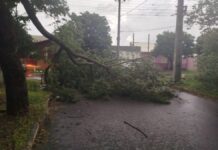 Temporal em Canoas causa transtornos e deixa bairros sem luz
