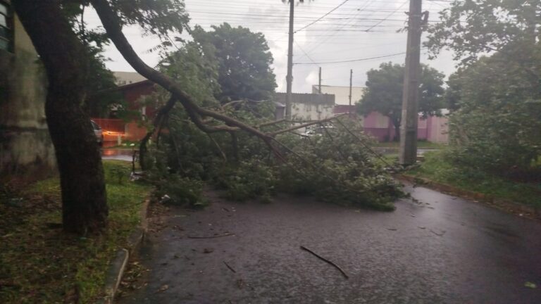 Temporal em Canoas causa transtornos e deixa bairros sem luz