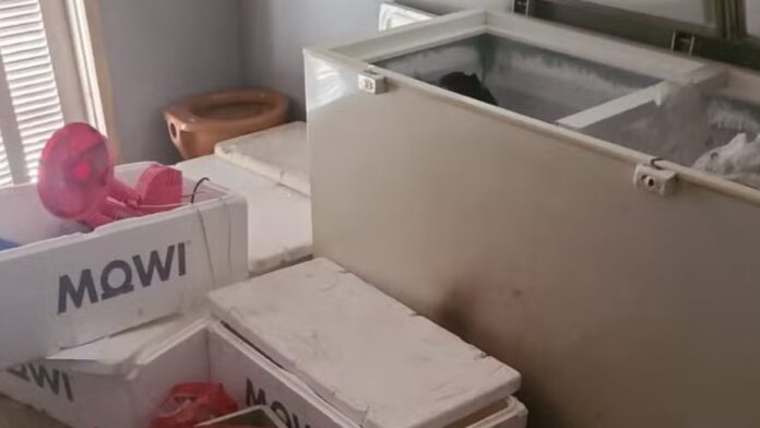 Corpo dentro de freezer: enteado é preso após confessar crime