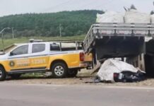 Motociclista morre em colisão com caminhão