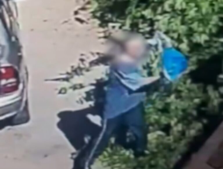 nova santa rita homem cachorro container