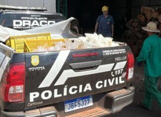 policia apreende alimentos