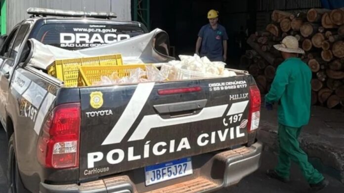 policia apreende alimentos