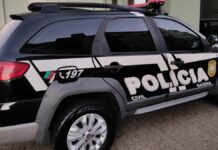 Polícia Civil faz operação contra grupo criminoso que rouba carros na região metropolitana
