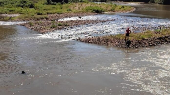 rio caí