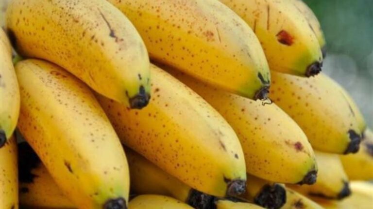 saiba quantas bananas você pode consumir