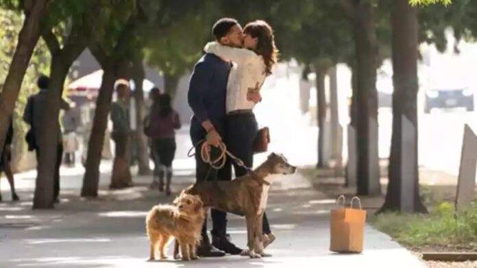 sessão da tarde Nossa Vida Com Cães