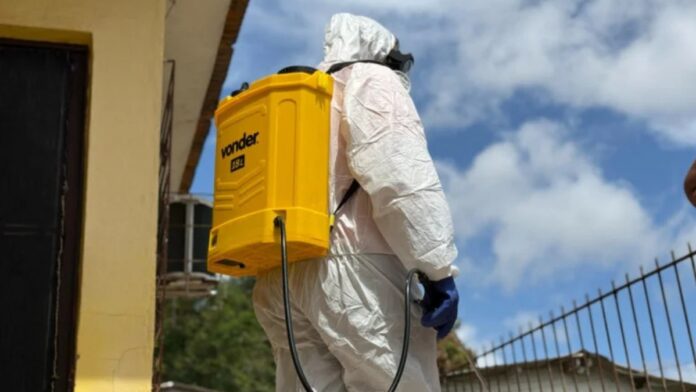 Surto dengue