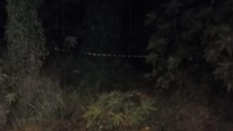 Homem é encontrado morto com tiro no rosto