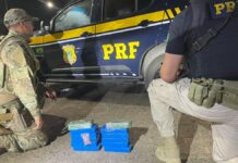 traficantes presos drogas