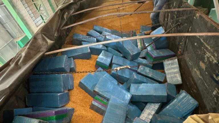 Trio é preso com mais de 1 tonelada de maconha na BR-386