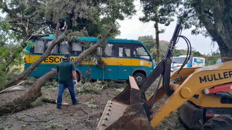 Árvore cai em cima de ônibus escolar em Nova Santa Rita