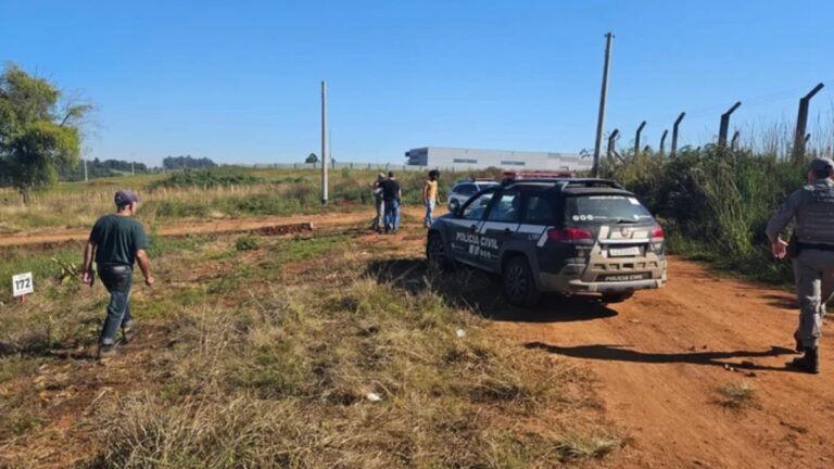 Cabeça de bebê é encontrada em loteamento