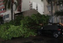O Governo Municipal de Canoas avalia decretar situação de emergência após o forte temporal que atingiu a cidade na última segunda-feira (31). A decisão ainda não está confirmada, mas é uma possibilidade.