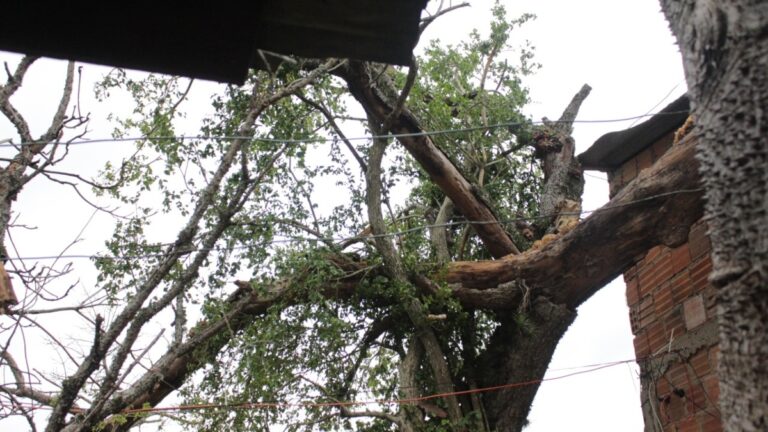Secretário da Defesa Civil faz balanço de estragos após temporal em Canoas