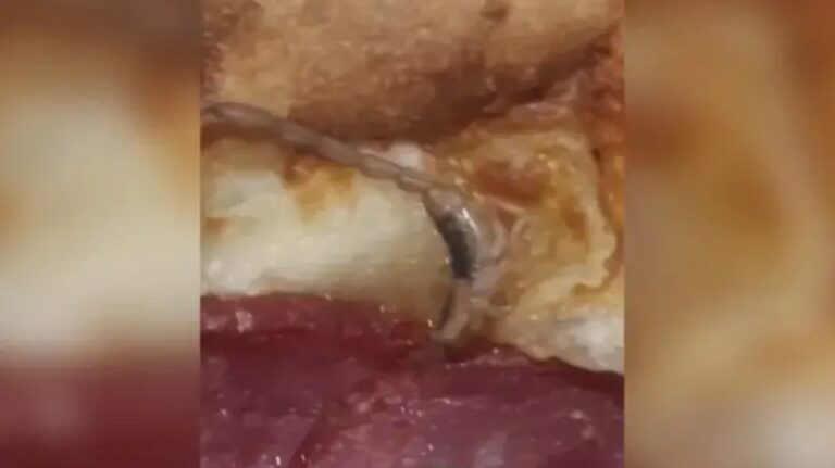 Cliente encontra escorpião em pizza
