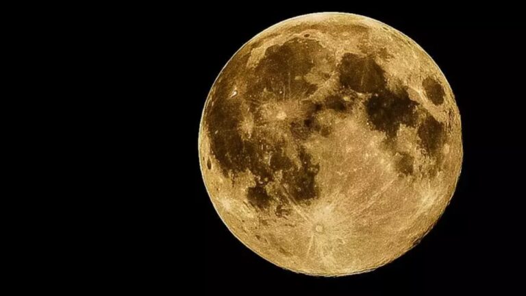 fases da lua lua nova