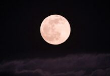 fases da lua cheia