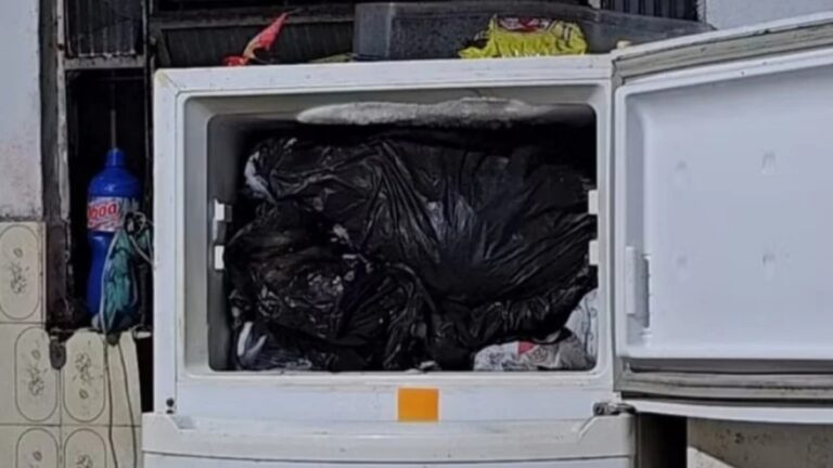 Médico é preso por armazenar cachorros mortos em freezer