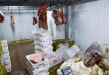 Carne vencida e pescado irregular são apreendidos no Mercado Público