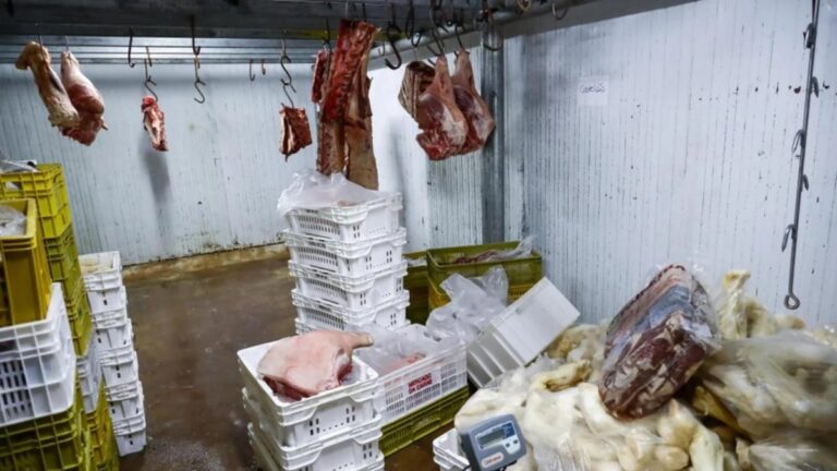 Carne vencida e pescado irregular são apreendidos no Mercado Público