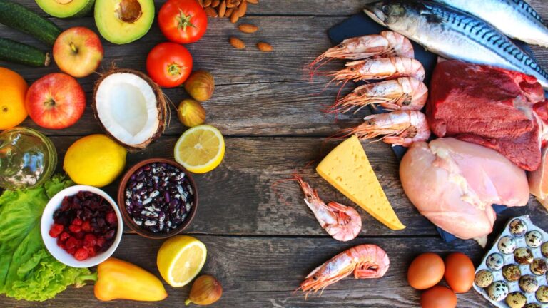 proteína animal e proteína vegetal