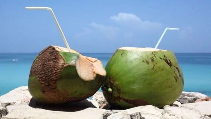 benefícios da água de coco