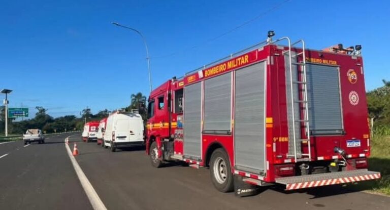 Homem morre após ataque de abelhas na Freeway