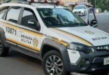 avo preso neta