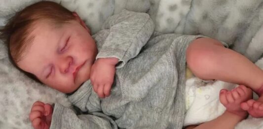 Exaltada, mãe exige "vacina" para bebê reborn em posto de saúde