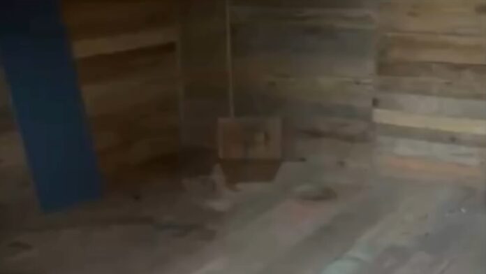 Vídeo mostra cativeiro onde mãe e filha eram mantidas em Canoas