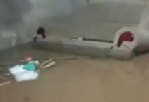 Água invade casas após forte chuva no Rio Grande do Sul