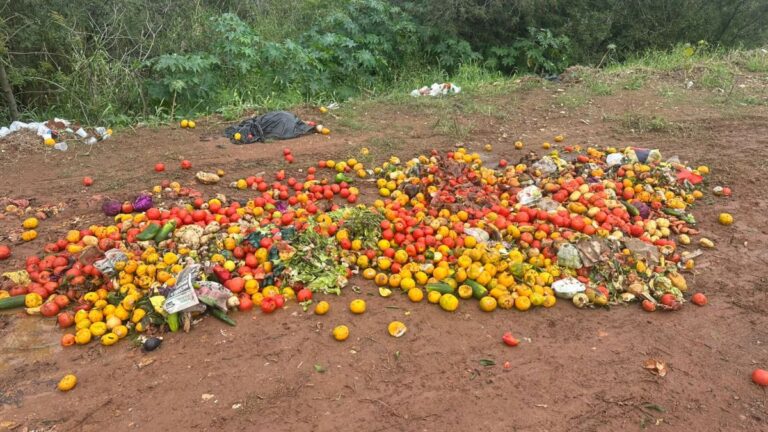 flagrante de descarte irregular de lixo em Canoas