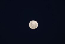 fases da lua cheia
