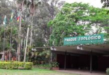 fachada do zoológico de sapucaia do sul