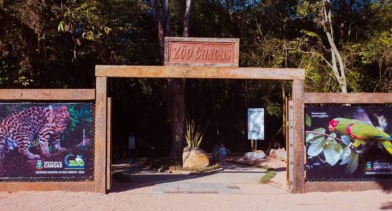 Zoológico Municipal de Canoas gripe aviária