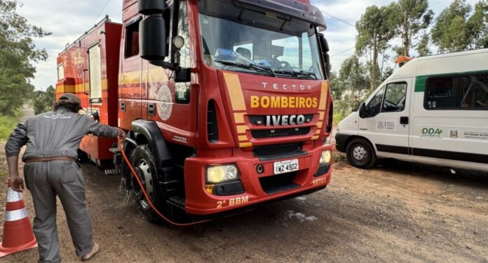 barreiras sanitárias gripe aviária