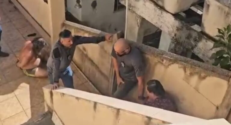 Irmãos são presos por "guardarem" corpo do pai em casa no Rio de Janeiro