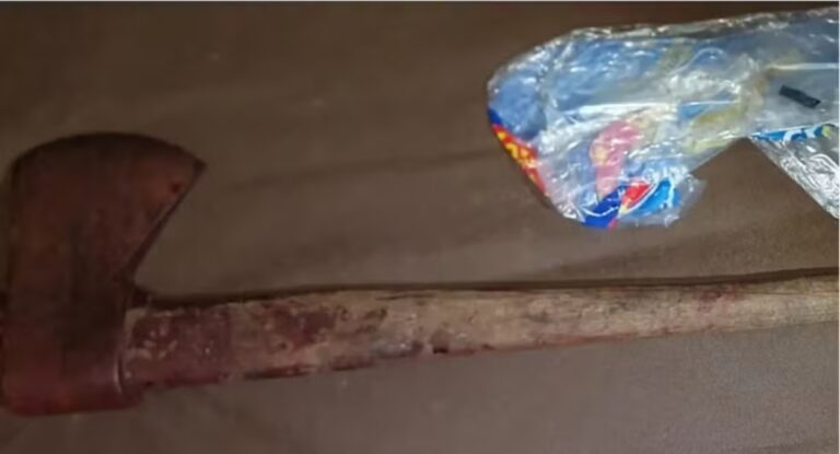 Mãe é presa por matar filho a machadadas