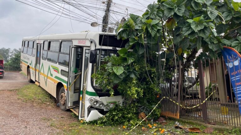 motorista morre atropelado