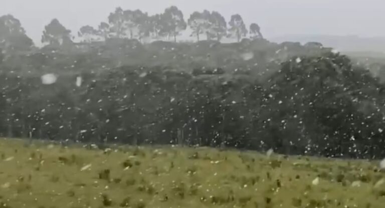 São José dos Ausentes registra neve após frio intenso