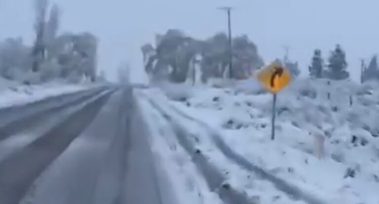 Onda de frio provoca nevasca antes de chegar ao Rio Grande do Sul