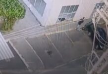 Padrastro é preso após arremessar enteado de 4 anos do quinto andar