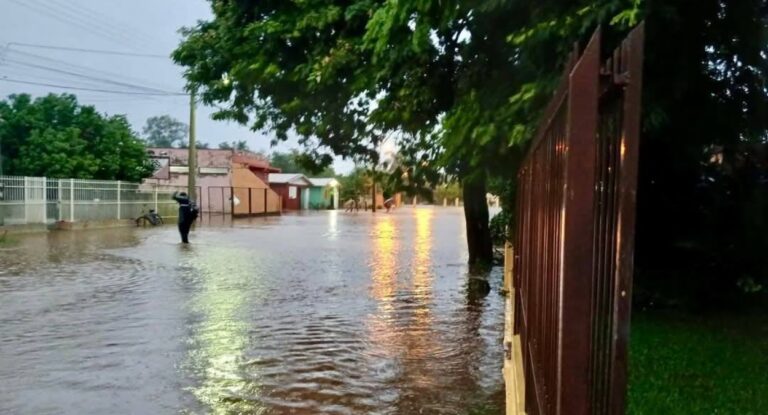 São Borja decreta situação de emergência após temporal