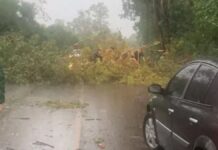 Temporal destrói casas em cidades do Rio Grande do Sul