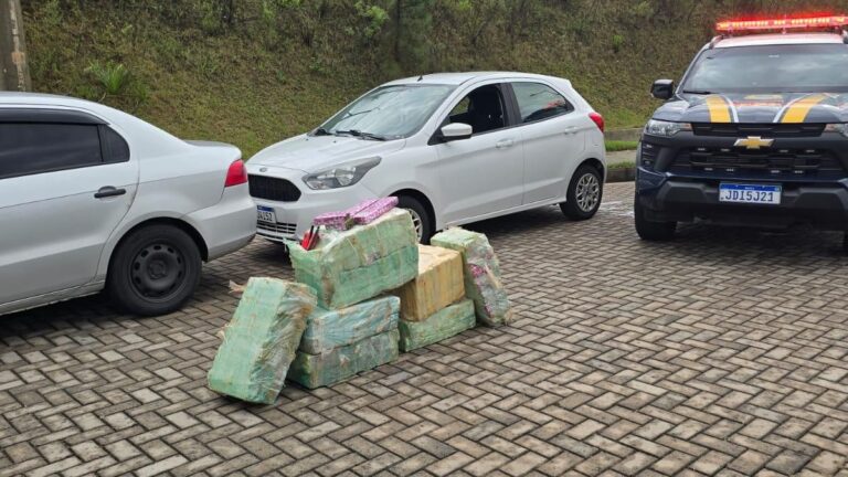 traficantes presos maconha