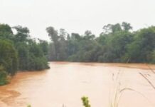 Inundação Rio dos Sinos