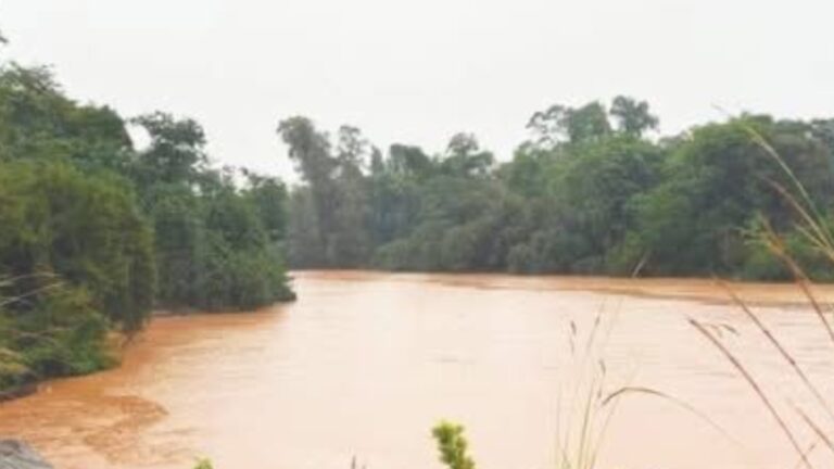 Inundação Rio dos Sinos