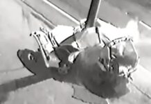 câmera vídeo acidente br-116 são leopoldo