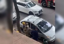 Bombeiros retiram vidro de carro e resgatam cachorro em Canoas